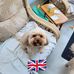 Steve Hardiman - Facebook