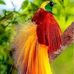 Steven Hare - Facebook