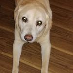 Stephen Harkins - @steevine_69 - Instagram