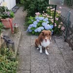 Stephen Harold - @stephenharold434 - Instagram