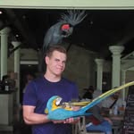 Stephen Harold - @stephenharold - Instagram