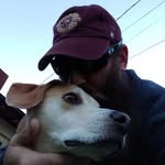 Stephen Harrold - @spharrold - Instagram