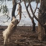 Stephen Harrold - @stephen.harrold.370 - Instagram