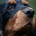 Stephen Harrold - Facebook