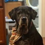 Steven Haskell - @steven.haskell.129 - Instagram