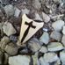 Steven Ray Hawkins - Facebook