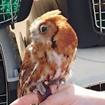 Stephen Havard - @stephen.havard.9 - Instagram