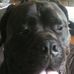 Stephen Hayman - Facebook