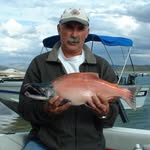 Steven Hayman - @hayhappyfish - Instagram