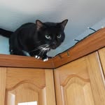 Stephen Hayward - @stephenhayward55 - Instagram