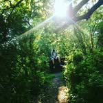 Stephen Hearn - @s___w___h - Instagram