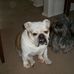 Stephen Hearn - Facebook