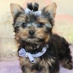 Heatherlynn Stephen - @heatherlynnstephen - Instagram