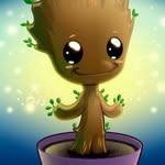 stephen hedgecock - @stephen.hedgecock - Instagram