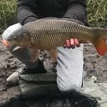 Stephen Hedger - @stephen_hedger_ - Instagram