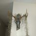 Steven Heiser - Facebook