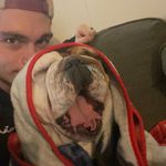 stephen hennelly - @hennellysteph - Instagram