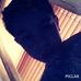 Stephen Hennelly - Facebook