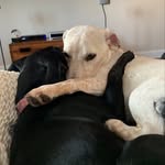Stephen Heraty - @nolastephen_h - Instagram