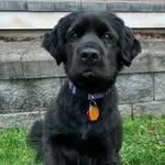 Stephen Hermann - @stephen.hermann.7 - Instagram