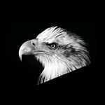 stephen - @stephen___________hero - Instagram