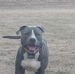 Stephen Herod - Facebook