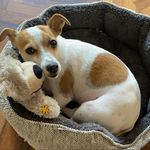 Stephen Heron - @stephenandflynn - Instagram