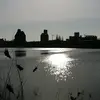 Stephen Heron - @stephenheron - TikTok