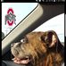 Stephen Hines - Facebook