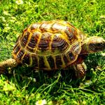 Стефан - @stephen_hipp14 - Instagram