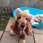 Stephen Horrigan - @the_great_worm - Instagram