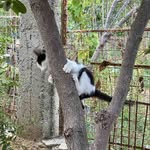 Stephen Hostetter - @stephen.hostetter - Instagram