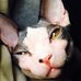 Steven Halterman - Facebook