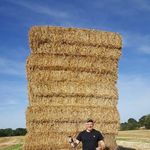 Stephen Hough - @stephen.hough.790 - Instagram