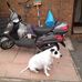 Stephen Hough - Facebook
