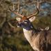 Stephen houle fishing change - Facebook