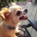 Steven Houle - Facebook