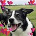Steven Lynne Howells - Facebook