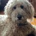 Stephen Hoye - Facebook