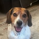 Stephen Hruby - @stephen.hruby - Instagram