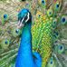 Steve Hruby - Facebook