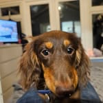 Stephen huckfield - @stephenhuckfield - Instagram