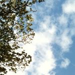 Stephen Hull - @stephen.hull.96 - Instagram