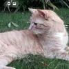 Stephen Hunnisett - @stephen.hunnisett6 - TikTok
