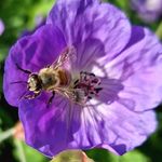 Stephen - @stephen.hurrell.75 - Instagram