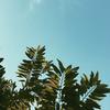 linsey_palmer18 - @stephen_hutton - TikTok