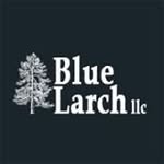 Stephen Hutton - @bluelarch - Instagram
