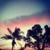 Stephen Ince - @stephenpl3_incepl_u91914 - Instagram