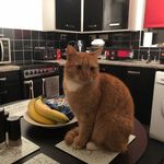 Stephen Ince - @s.e.ince - Instagram