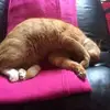 stephenince905 - @stephenince905 - TikTok